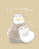 うるち米