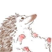 なむなむ