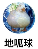 Potato