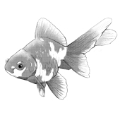 hyugaアシスタント