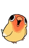 飄