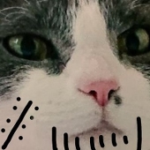 ととら