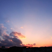 李
