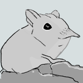 センギ