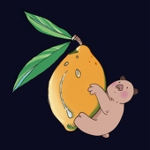 Lulltis