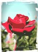 riir