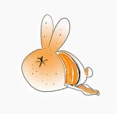 🐰🍊