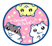 殊莉–kotori–