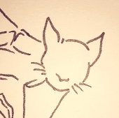 あく