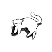 犬槙(まき科)
