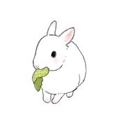 マヨランド