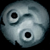 (マドロック)