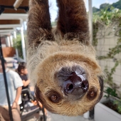 たくわん