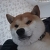 倒切
