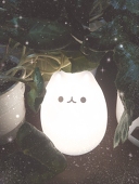 sachimi