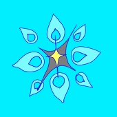 Huī