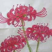静森 葉音
