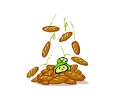 窓