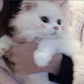 ♡
