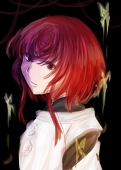 ちす丸