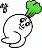 大长腿白萝卜精