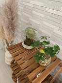 ほっぺ