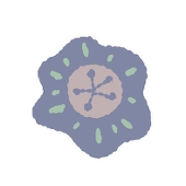Hanae