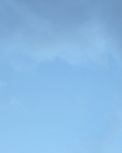 草野