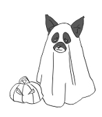 Kiki