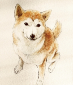 醸（じょう）