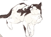 牧野 すぐり