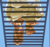 🕊️