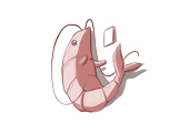 Talking Shrimp
