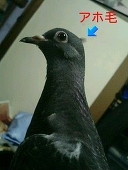ちゅら