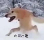 もや。