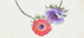 さとり