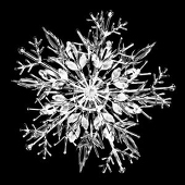 雪之絵