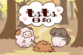 しーや