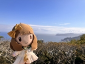 れぽてん