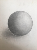 66