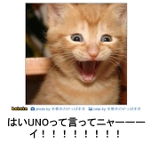 もちづきさん