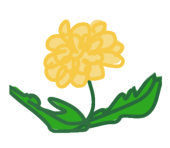 たんぽぽ