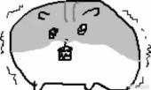 沼(ぬま)