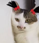 666