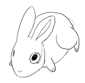 NaNo_