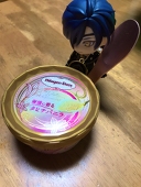 くらげ