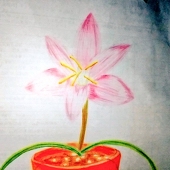 影華．(どっと)