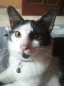 MR.¥