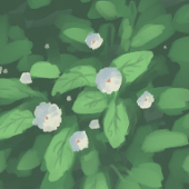 ぱっそ