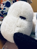 アサアサのアーサ